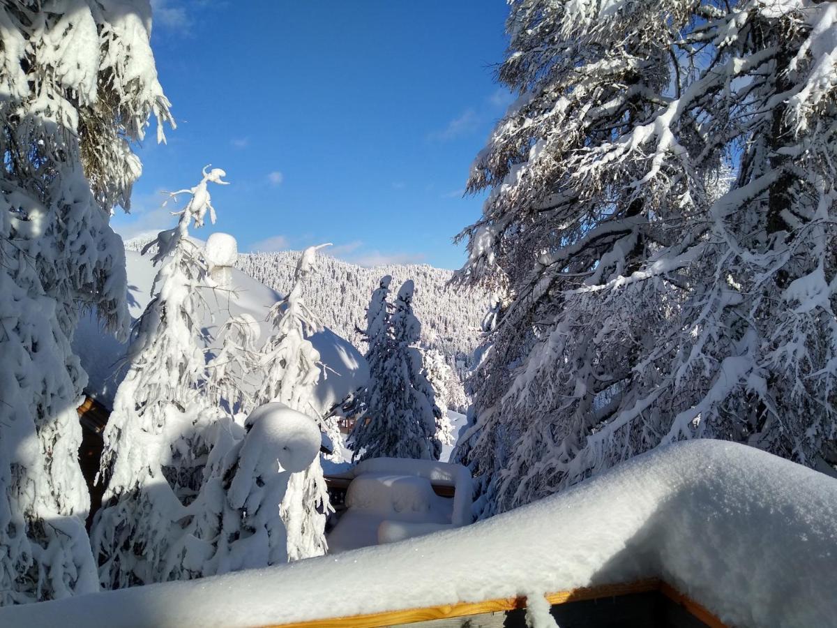 Alpenflair Mit Aussicht Zum Traeumen Apartment Turracher Hoehe